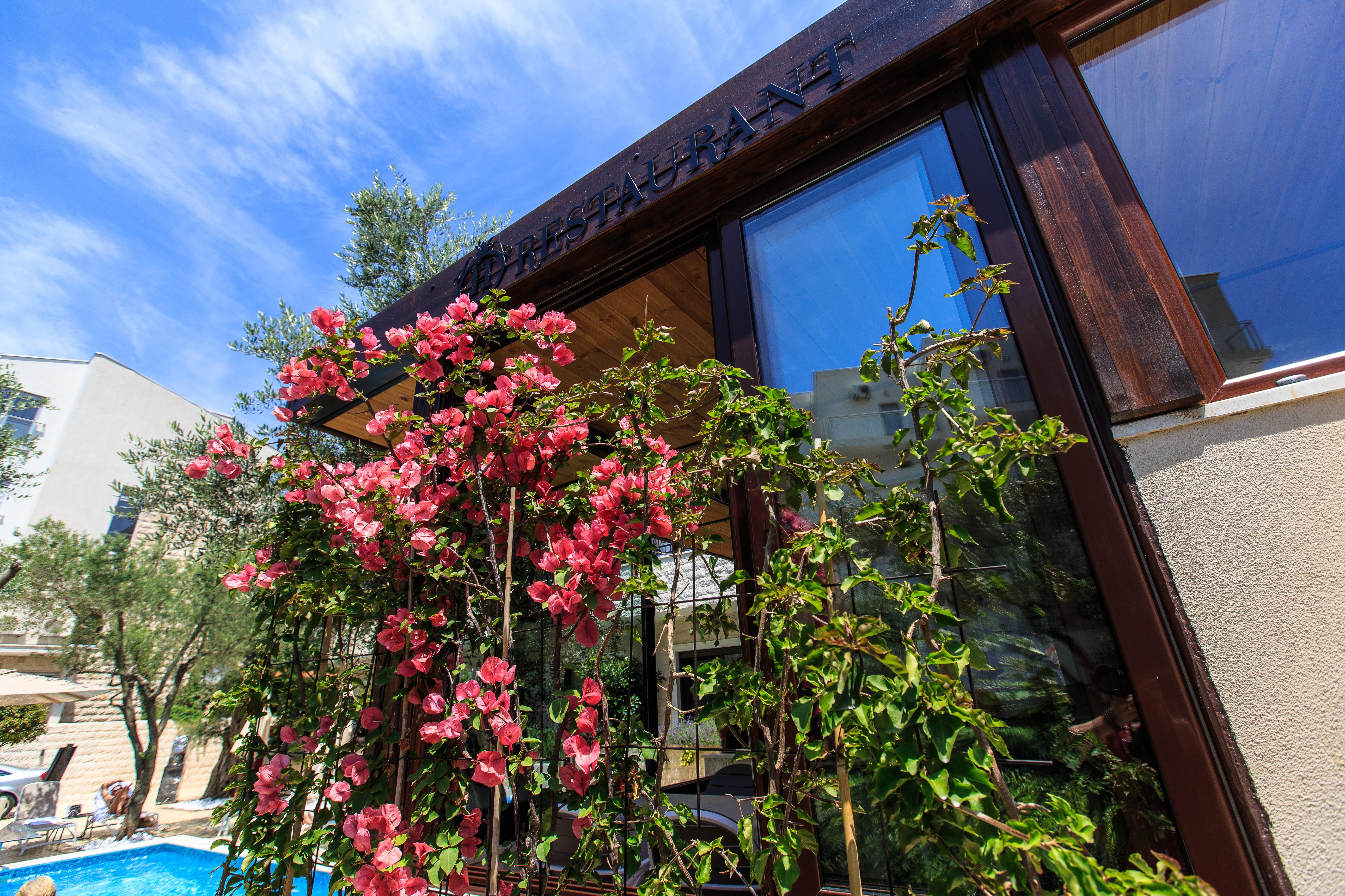 Hotel Harmony By Aycon Petrovac Exterior foto